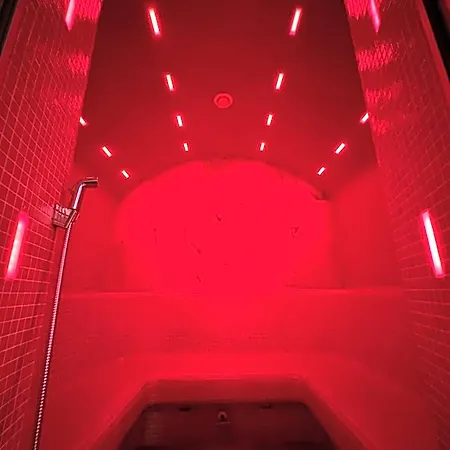 Hotel Vytauto